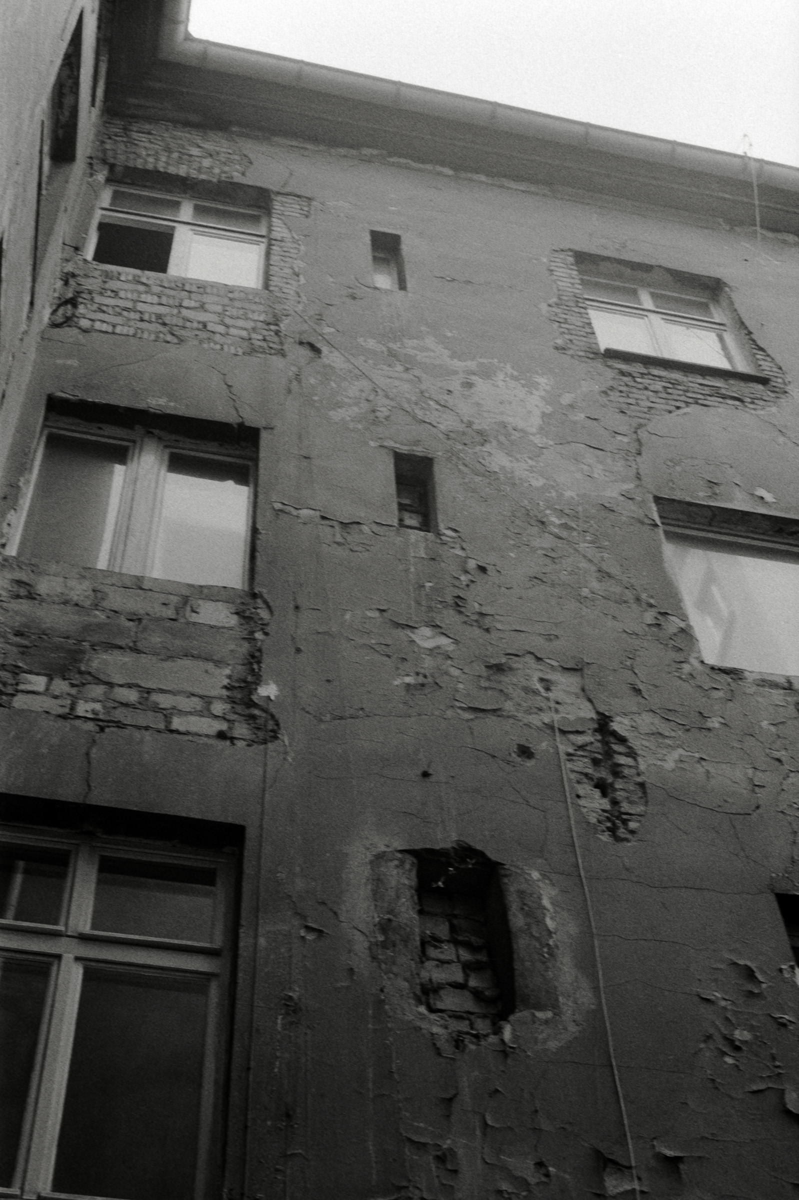 AHP F1993 03 007 sc240902 img26 NLP